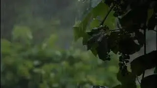 rain sound44