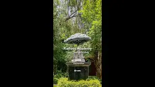 Kalidas Academy: Preserving India's Classical Heritage