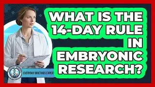 What Is The 14-Day Rule In Embryonic Research?