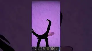 my się tylko z nim bawimy