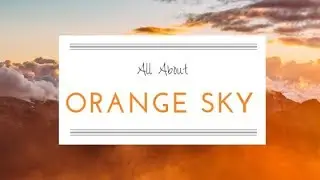 Orange Sky Personality Type | The Action-Taker at Work