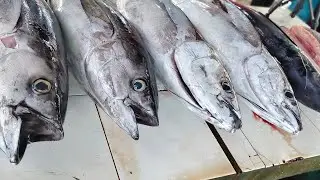 Yellowfin Tuna: Quick and Easy Cutting for Everyday Meals #fish #food #cuttingskills