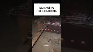 Все дороги ведут в Чечню