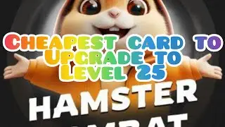 HAMSTER COMBAT CARD UPGRADE 25 LEVEL