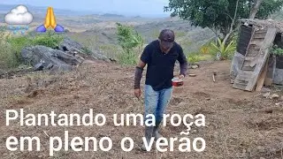 Com os temporais de chuva ⛈️🙏 a terra molhou e fizemos a primeira plantação 