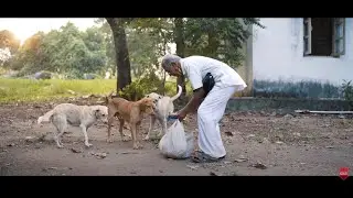 ജീവിച്ചിരിക്കുന്ന ദൈവങ്ങൾ....|Team Mahadevan Thampi