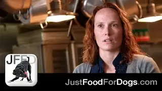 Identifying Dog Food Allergies feat. Dr. Laura Wilson DVM | JustFoodForDogs