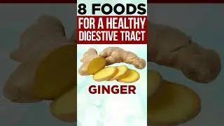 8 BEST FOODS TO IMPROVE YOUR DIGESTIVE TRACT