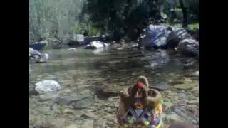 groupe izourane tafraout.wmv