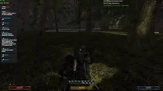 Gothic Новый Баланс - КС ССНК НД - Тёмный Рыцарь - Глава 2