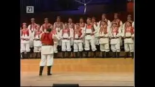 Živila Hrvatska (Glasna, jasna)