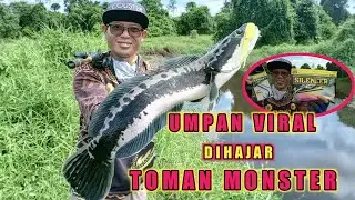 TERBUKTI !!!! CASTING TOMAN PAKAI UMPAN OZMY SILENCER