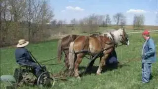 Permaculture Swales