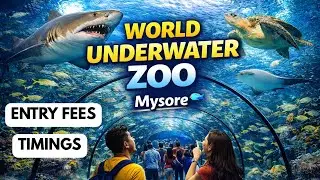ಮೈಸೂರಿನ ಅದ್ಭುತ ಫಿಶ್ ಅಕ್ವೇರಿಯಂ 😍 | Mysore Aqua Fish Aquarium 