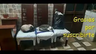 MAS VIDA UTIL PARA LOS TALEGOS DE CONCENTRADO
