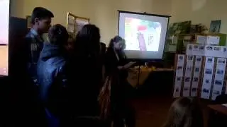 Community Action Day  Radauti