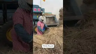 How Farmers Separate Grain from Straw! 💪🌾