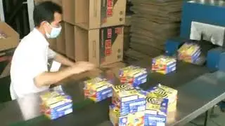 Mosquito-killer coils reciprocating type flow pack and case packing line