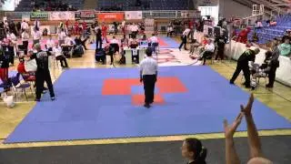 Bizewski Artur - Szab&oacute; Roland, kick-light, men, +94 kg