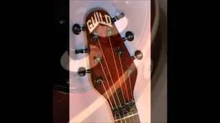 RS Custom Guitars Model 84