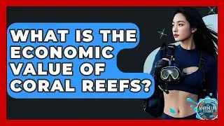 What Is The Economic Value Of Coral Reefs? - The Marine Life Explorer