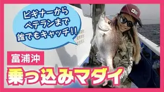 ヒットシーン・富浦沖乗っ込みマダイ