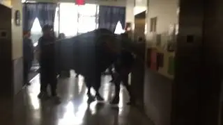 Buffalo Elevator Prank