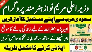 Chief Minister Maryam Nawaz Hunarmand Program 2026 | Jobs in Punjab 2026 | Hunarmand Program 2026