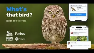 Birda Birdwatching App - Start amplifying your birding experience