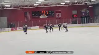 Tigers VS Chesterfield Falcons
