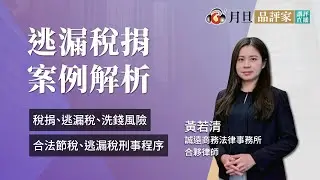逃漏稅捐案例解析│黃若清合夥律師│元照出版