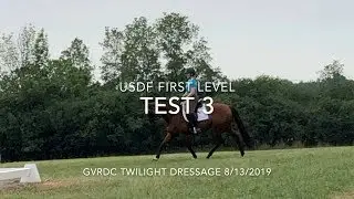USDF First Level Test 3: Judge Scores & Comments [2019]