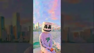 summertime - I fly But get higher - to short to live [Marshmello Official Music video]