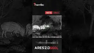 Thermtec Ares 660L 2.0 thermal riflescope #hunting #animals #wildlife #deer