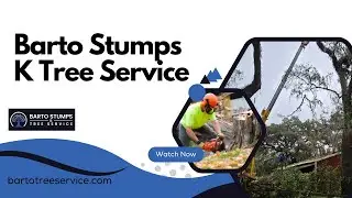Barto Stumps K Tree Service - Tree Service Company Spring Hill, FL | Tree Service Near Me