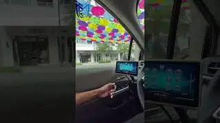 Revolutionizing Disabled Driving Technology with VICki: The Ultimate Driving Assistant