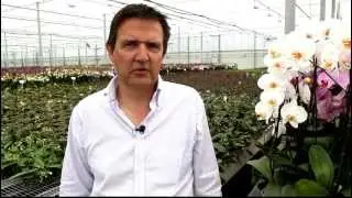 Howard Braim from Double H tells about his ErfGoed floor