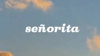 Señorita|Shawn Mendes & Camila Cabello lirik terjemahan lalisyalirik