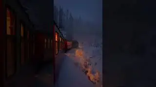 Fairytale train ride on the Polar Express 🚊❄️TAG someone who would love to experience this 🤍