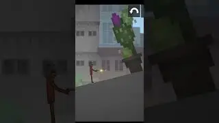 Don&rsquo;t shoot a cactus