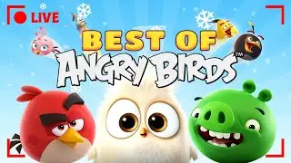 🔴 LIVE: Best of Angry Birds - Ultimate Compilation!