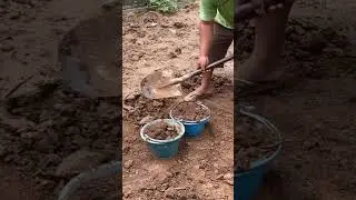 Farm Work #farming #construction #works #hardwork #diy #youtubeshorts #trendingshorts #viralvideo