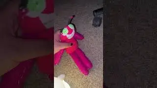 Bugbo reveals Gradient joe