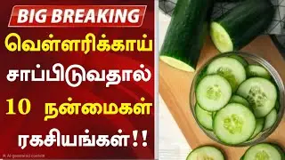 வெள்ளரிக்காய் 10 மருத்துவ நன்மைகள்! | Cucumber Benefits in Tamil| Health Tips in Tamil| Cucumber 
