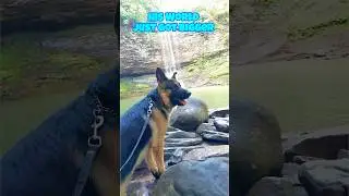 German Shepherd&rsquo;s First Out-of-State-Vacation | Dog Friendly Adventure at Cherokee Falls!