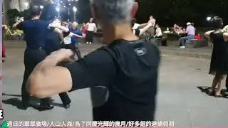 🎸社交舞-224🇮🎻 #saxophone #dance |🎷薩風/樂舞.  |@城上城樂團