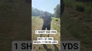 1 SHOT AT 200 YARDS FOR A MILLION DOLLARS WITH AR15 IRON SIGHTS. #ar15