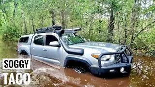 Abusing my Tacoma | Richloam WMA