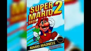 Super Mario Bros 2 (NES) Subscape