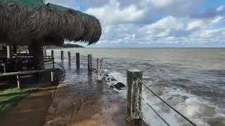 Calm Seaside Walk | Ocean Sounds for Relaxation & Mindfulness